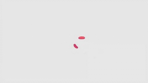 Multicolor Liquid Shapes Motion Graphics Pack Stock Footage 232657826