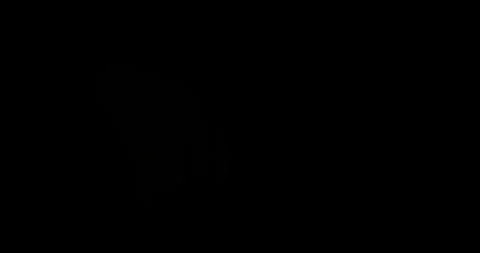 Multicolor optical lens flares light leaks, cool warm tint optical lens Stock Footage 278525523