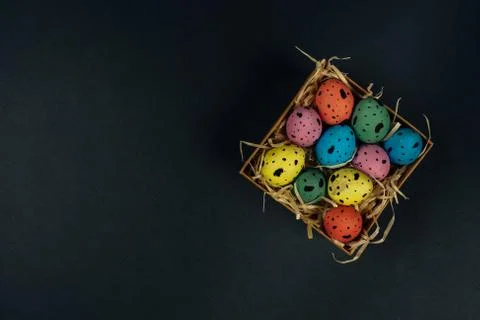 Multicolor painted Easter quail eggs in little box on black background. Copy Stock Photos