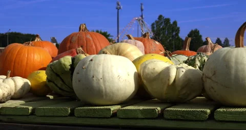 Multicolor pumpkins for Halloween 2026 Stock-Footage 347125539