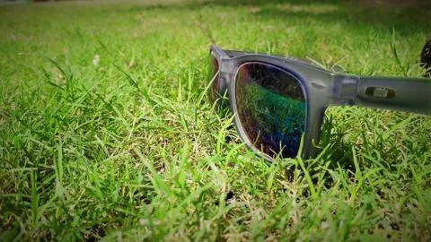 Multicolor reflective sun glasses placed on green grass or weed in a garden Stock Photos