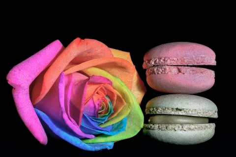 Multicolor rose macaron Fotos Stock