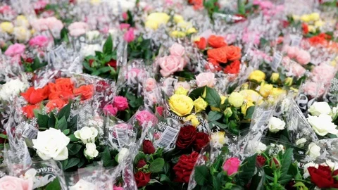 Multicolor roses Stock Footage 121108882
