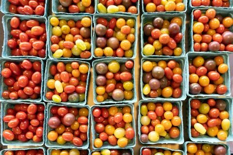 Multicolor small tomatoes in square basket at local farmer market Stock Photos