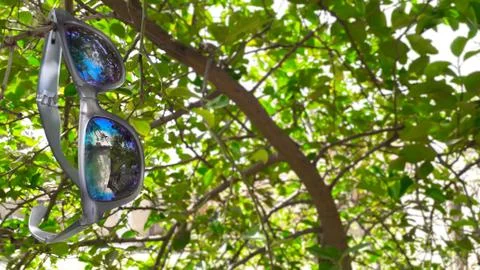 Multicolor sunglasses in thick plastic frame hanging on green leaves of a tre Stock Photos