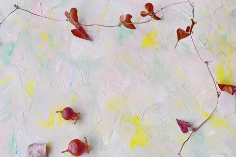 Multicolored abstract background with dry plant branch and dry pomegranate Stock Photos