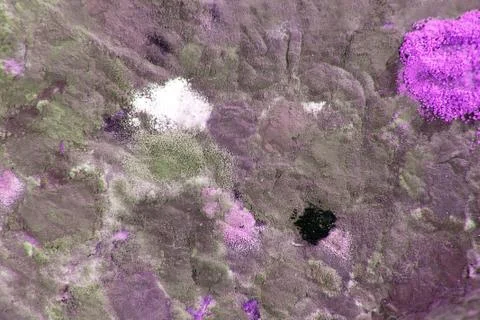 Multicolored abstract background. Stock Photos