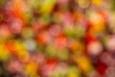 Multicolored abstract blurry background Stock-Fotos