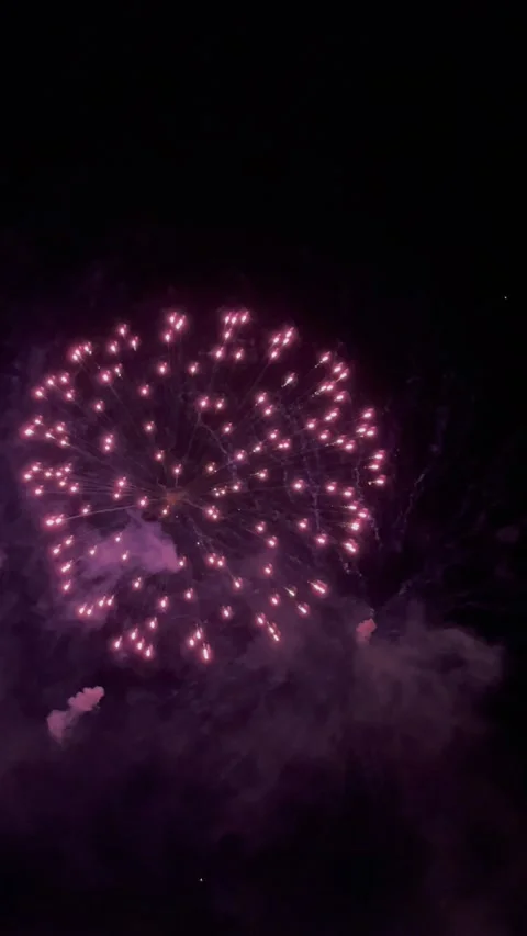 Multicolored Amazing Fireworks Stock Footage 287737557