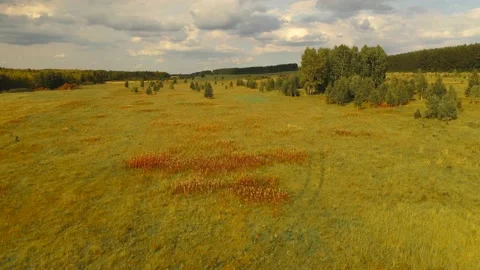 Multicolored autumn. Bright fields. Drone shooting. Stock Footage 139857533