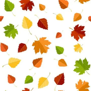 Multicolored autumn seamless pattern of autumn maple and birch leaves on a white Stock Illustration