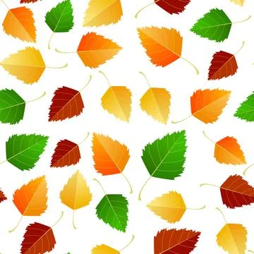Multicolored autumn seamless pattern of autumn birch leaves on a white or Stock Illustration
