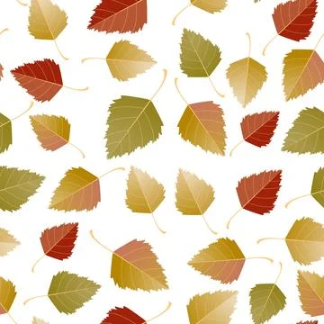 Multicolored autumn seamless pattern of autumn birch leaves on a white or Stock Illustration