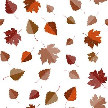 Multicolored autumn seamless pattern of autumn birch leaves on a white or Stock Illustration