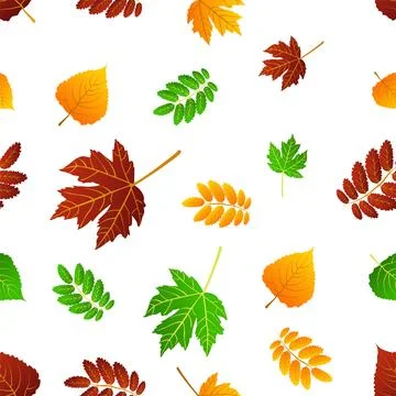 Multicolored autumn seamless pattern of autumn birch, maple leaves on a white 스톡 일러스트