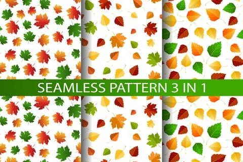 Multicolored autumn seamless pattern set 3 in 1 of autumn birch and maple leaves Stock Illustration
