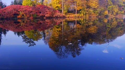 Multicolored autumn tree tops reflecting in the water. Vertical pan opening shot Stock-Footage 98375246