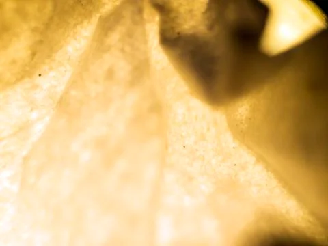 Multicolored background Stock Photos