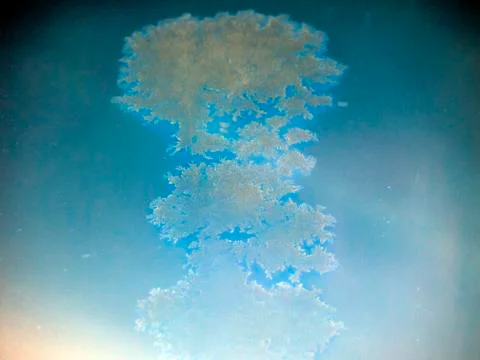 Multicolored background Stock Photos