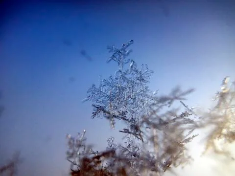 Multicolored background Stock Photos