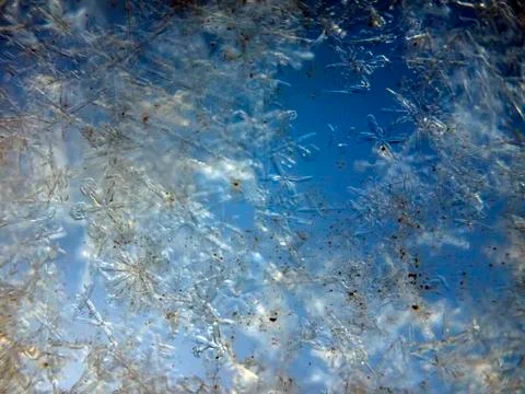 Multicolored background Stock Photos