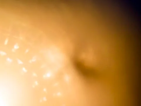 Multicolored background Stock Photos