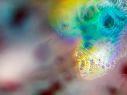 Multicolored background Stock Photos