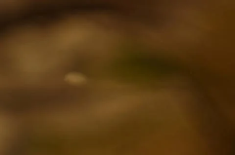 Multicolored background Stock Photos