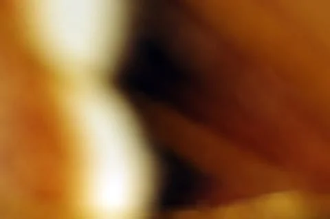 Multicolored background Stock Photos