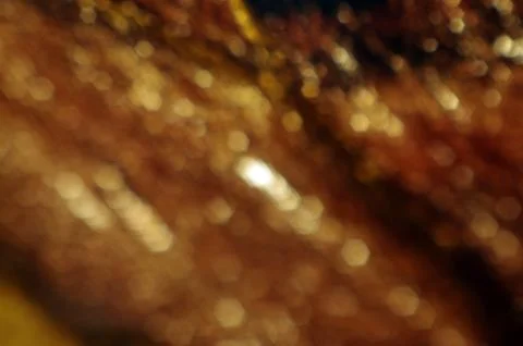 Multicolored background Stock Photos