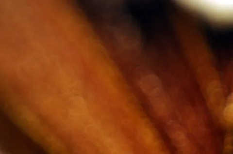 Multicolored background Stock Photos