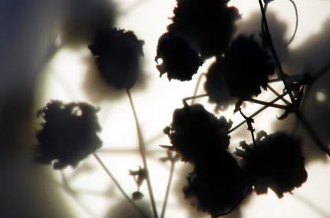 Multicolored background Stock Photos