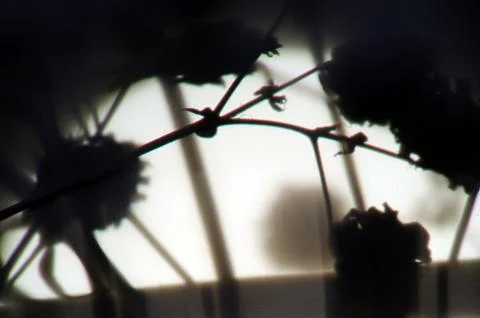 Multicolored background Stock Photos