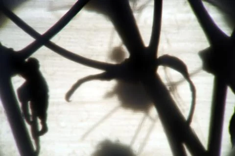 Multicolored background Stock Photos