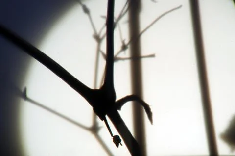 Multicolored background Stock Photos