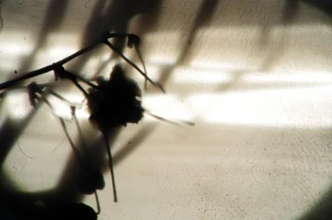 Multicolored background Stock Photos