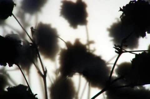 Multicolored background Stock Photos