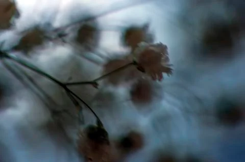 Multicolored background Stock Photos