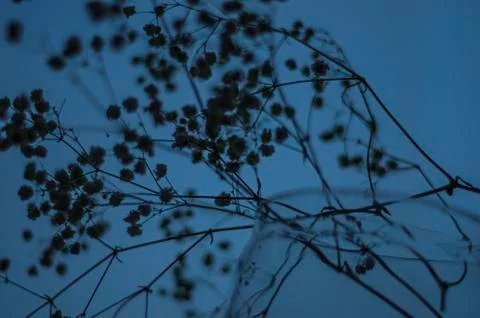 Multicolored background Stock Photos