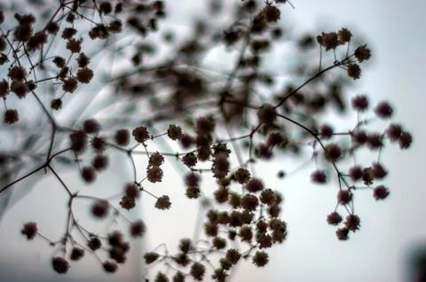 Multicolored background Stock Photos