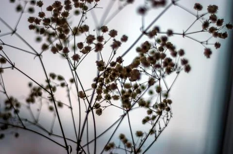 Multicolored background Stock Photos