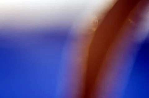 Multicolored background Stock Photos