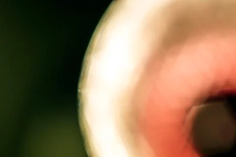 Multicolored background Stock Photos