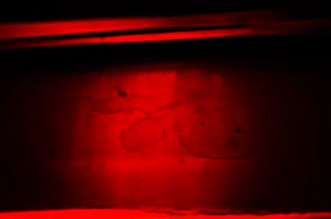 Multicolored background Stock Photos