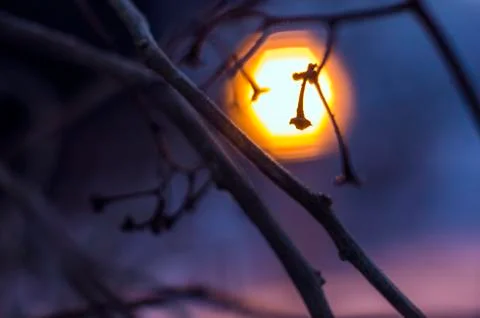 Multicolored background Stock Photos