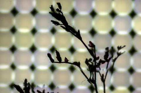 Multicolored background Stock Photos