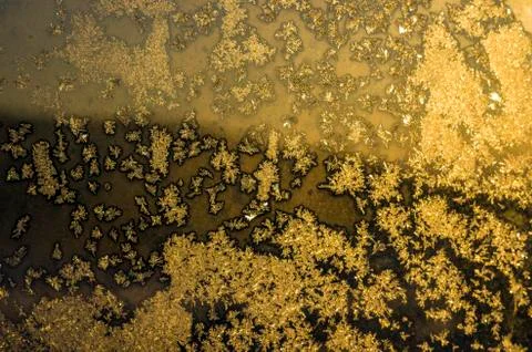 Multicolored background Stock Photos