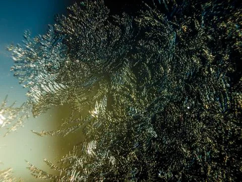 Multicolored background Stock Photos