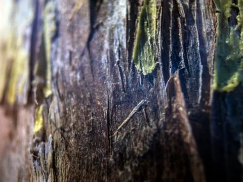 Multicolored background Stock Photos