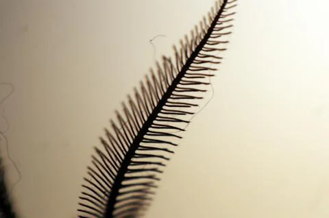 Multicolored background Stock Photos